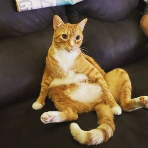 Meet your Posher, Gina